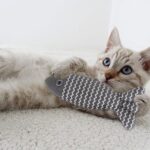 A cat laying with a grey striped plush fish toy.