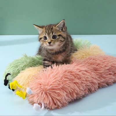 Tabby kitten laying with colorful caterpillar catnip toys