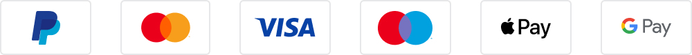 A row of accepted payment methods icons including mastercard, visa, maestro, apple pay and gpay